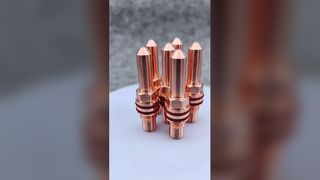 Điện cực 277130